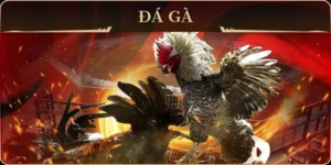 Khám Phá Cách Chơi Đá Gà GA28 i9BET Chuẩn Xác Hiệu Quả