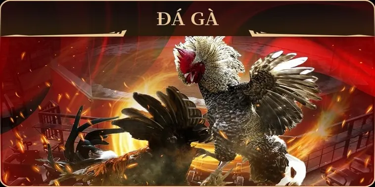 Khám Phá Cách Chơi Đá Gà GA28 i9BET Chuẩn Xác Hiệu Quả